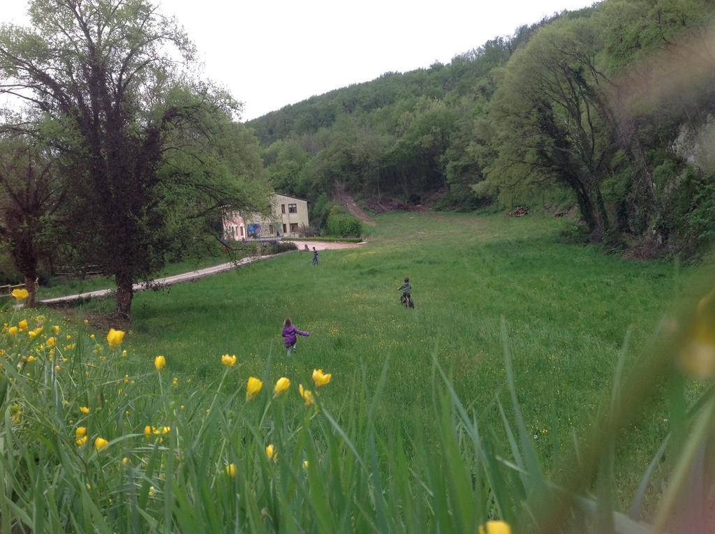 Altobello Alloggio per agriturismo